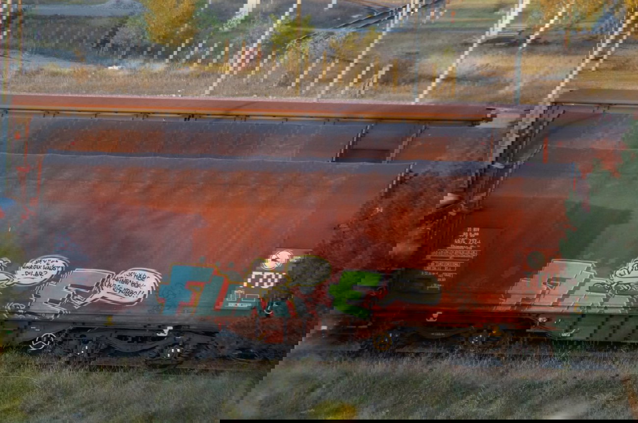 Graffiti Train - Photo by GBBI - fume, freight