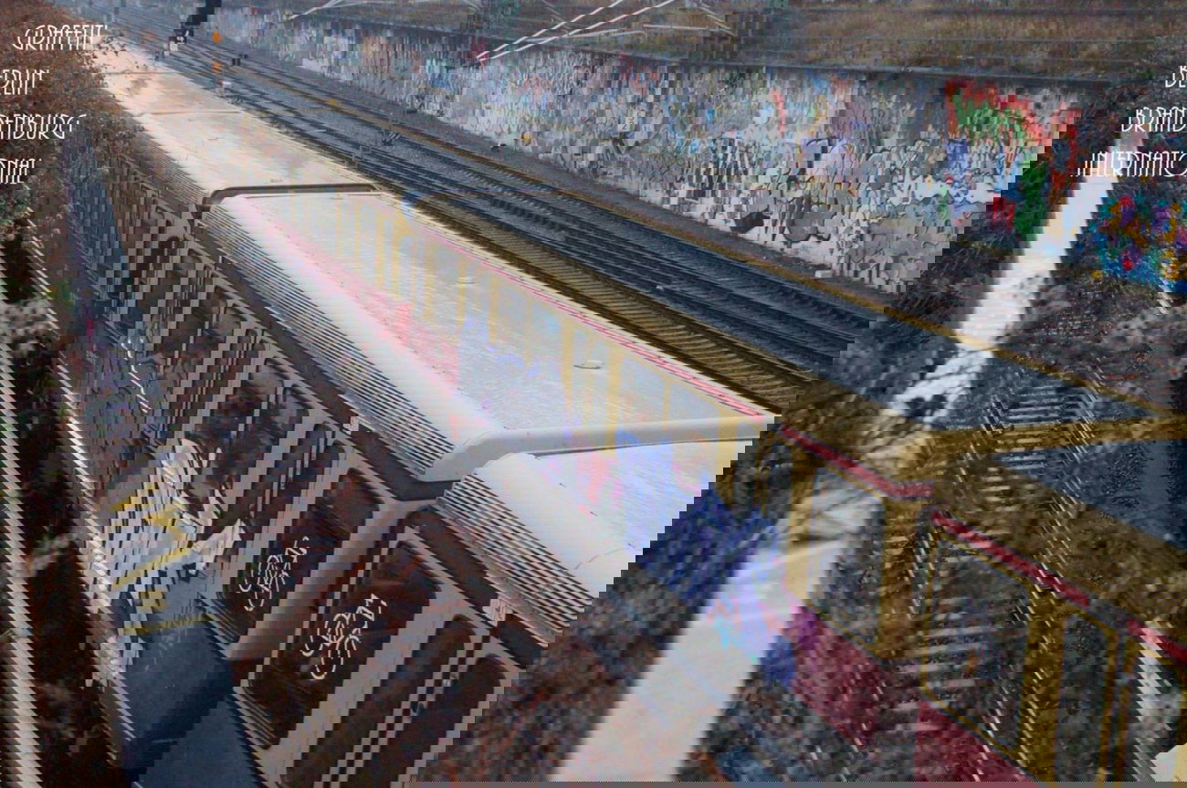 Graffiti Train - Photo by GBBI - dimk, zombi, trainline (2014)