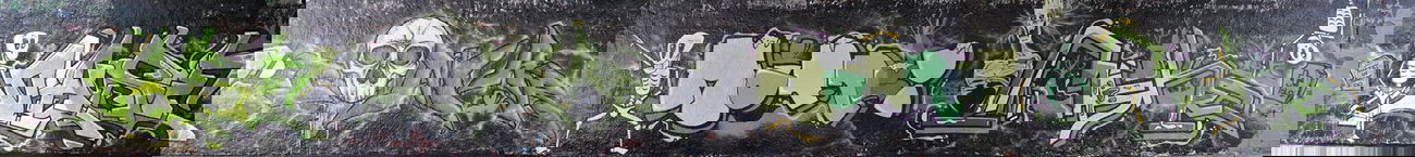 Graffiti Wall - Photo by GDS - GDS, MONKEY, OASE (2014)