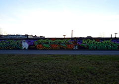 Photo #174050 by Anis