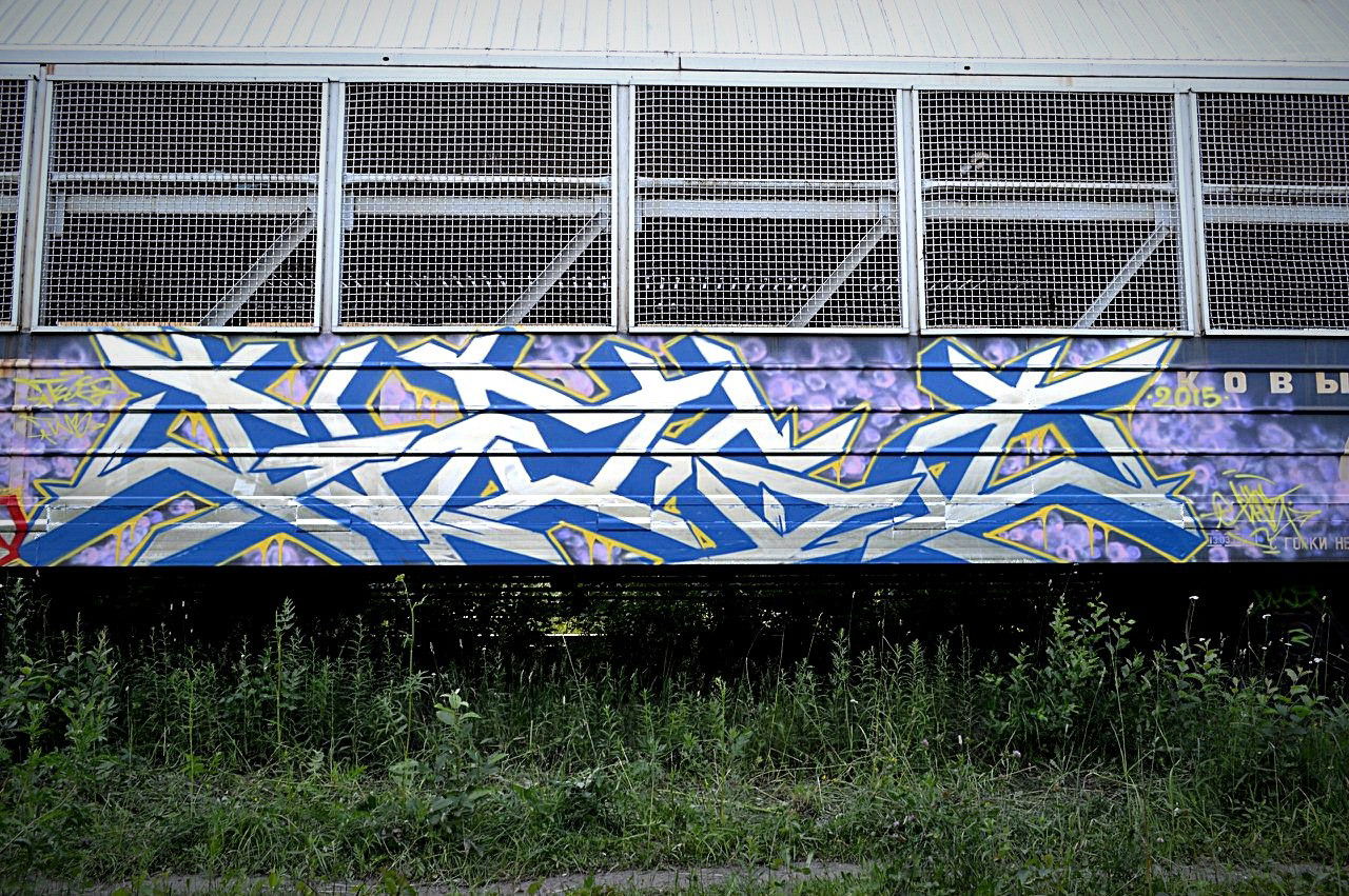 Graffiti Train in Российская Федерация - Photo by GHO5T (2015)