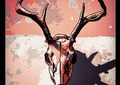 Graffiti Artwork in Екб - Photo by GNAER - skull, tattoo, sketchbook (2015)