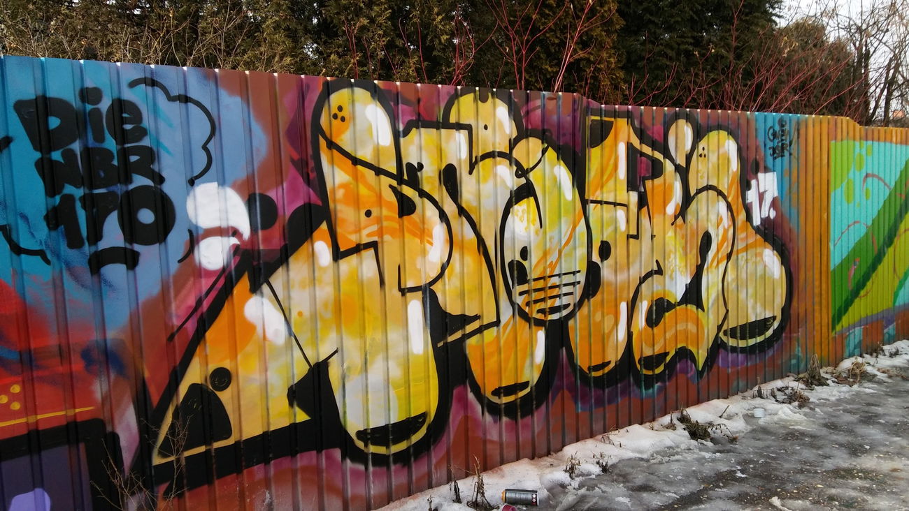 Graffiti Wall - Photo by GNIEw (2017)