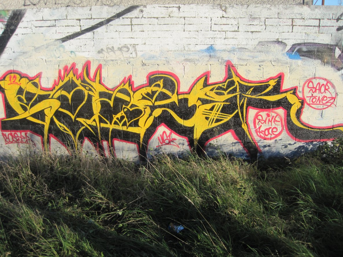 Graffiti Wall - Photo by GODSER - godser, sime, ugk (2012)