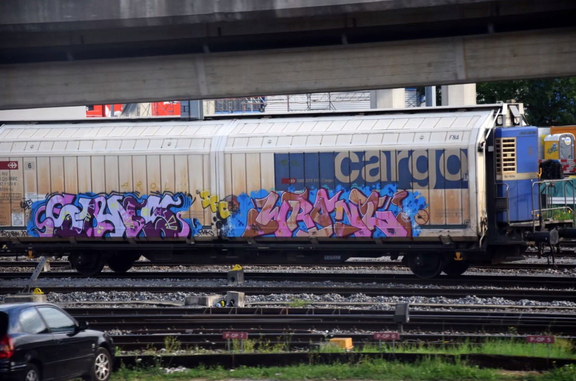 Graffiti Train - Photo by GUETERSLOW