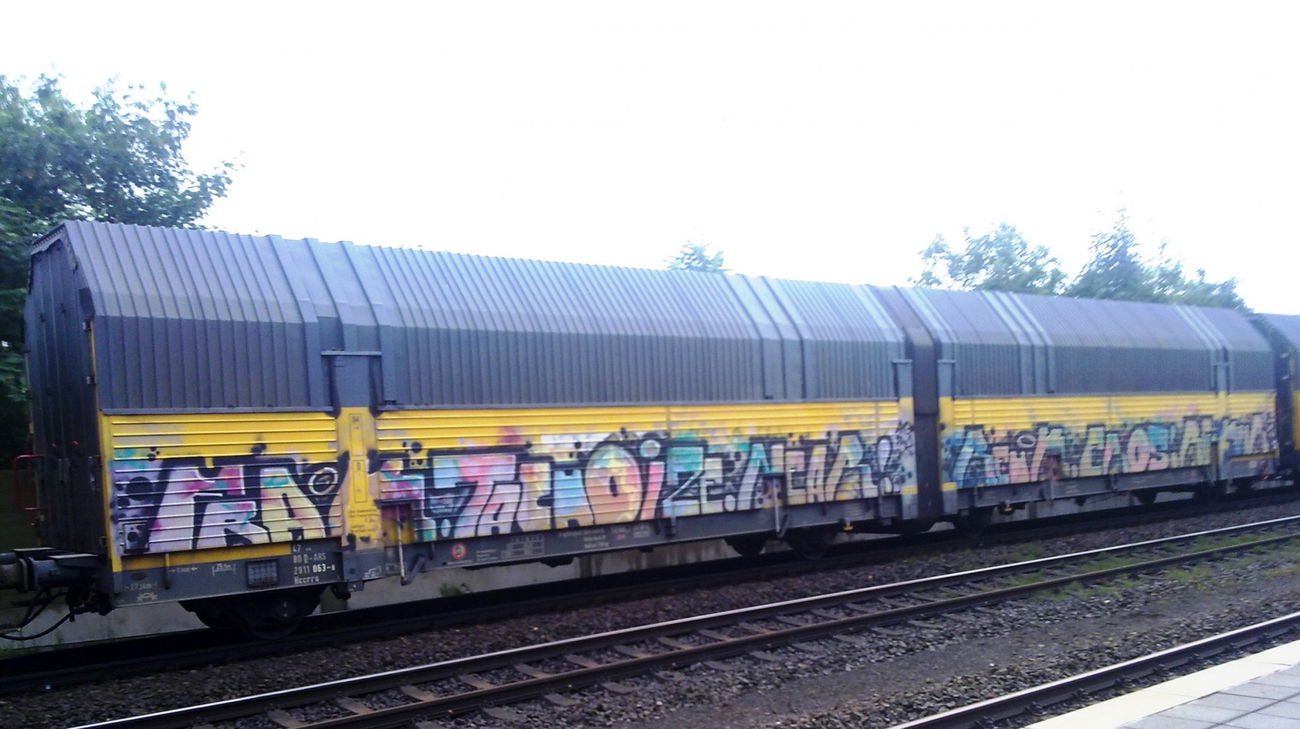 Graffiti Train - Photo by GUETERSLOW