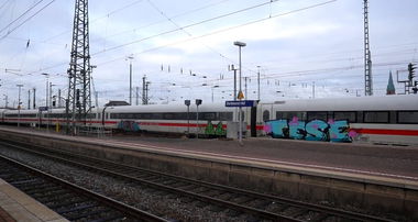 Graffiti Train - Photo by GUETERSLOW - tese, dsf, birds (2019)