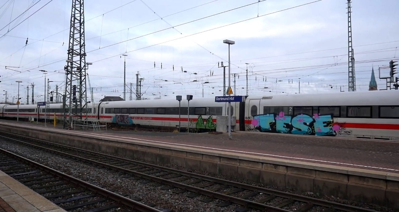 Graffiti Train - Photo by GUETERSLOW - tese, dsf, birds (2019)