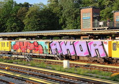 Graffiti Train - Photo by GUETERSLOW