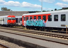 Graffiti Train - Photo by GUETERSLOW