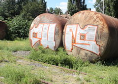 Photo #45656 by streuner