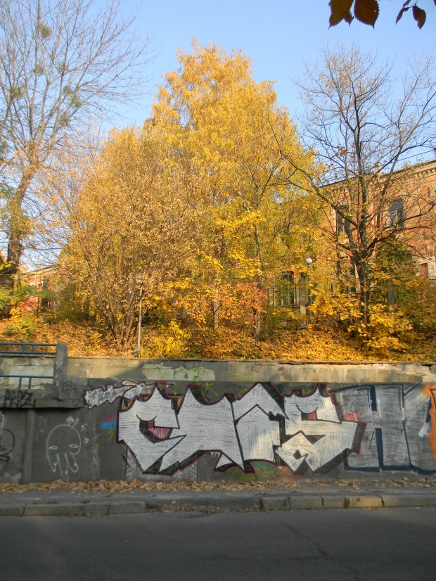Graffiti Bombing in Kyiv - Photo by Garchefskiy - chfs