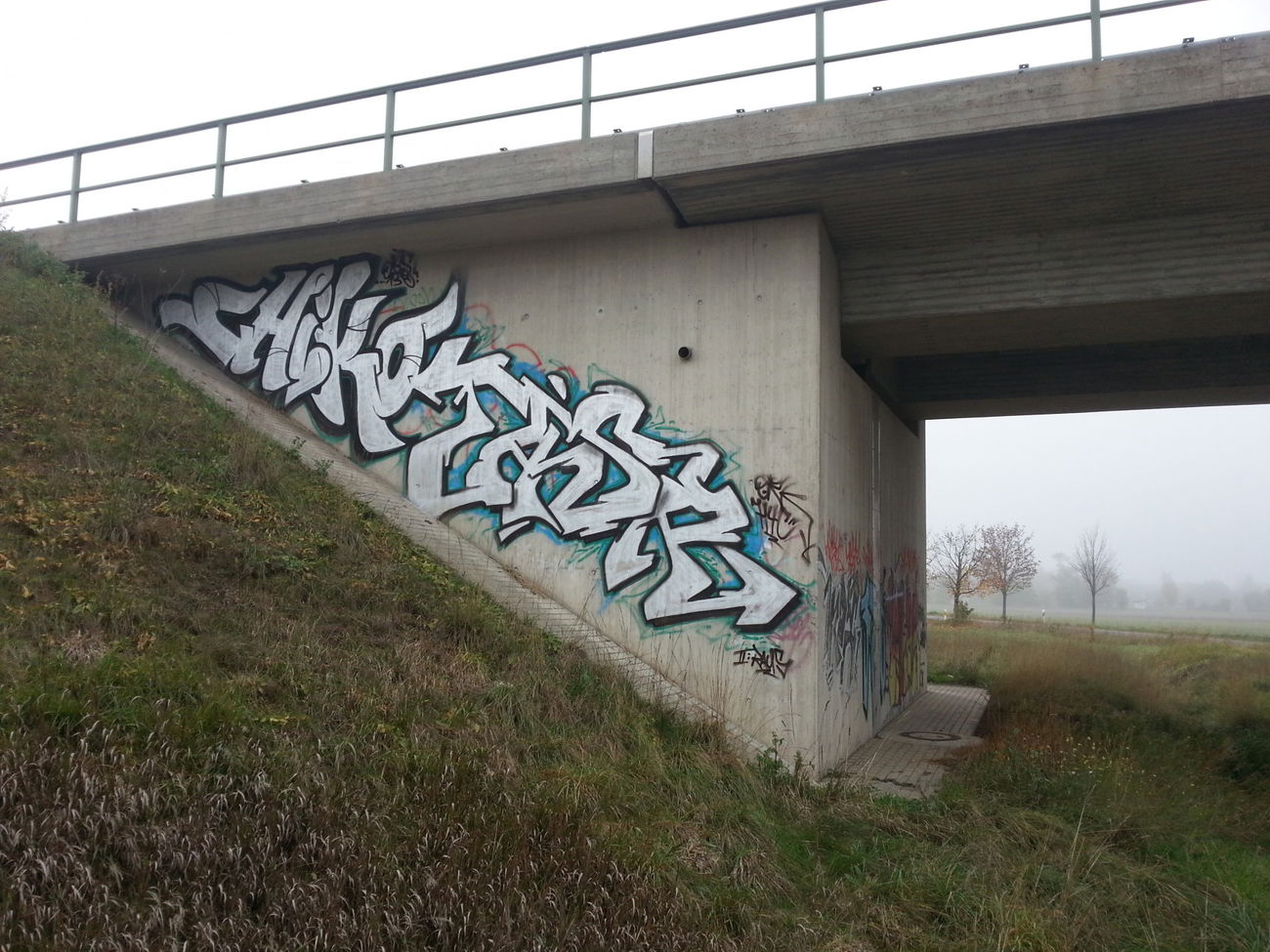 Graffiti Bombing - Photo by GaunerZwoSiem (2015)