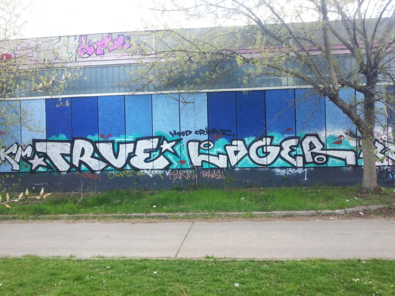 Graffiti Bombing - Photo by GaunerZwoSiem - TRUE, Lager