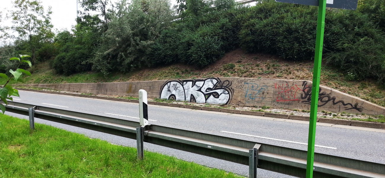 Graffiti Bombing - Photo by GaunerZwoSiem