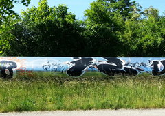 Photo #158057 by Skafone