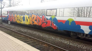 Graffiti Photo by GeBiss - GB, Grazy, Birds (2014)