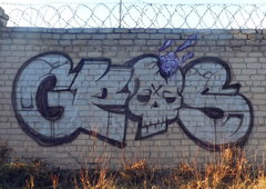 Photo #55029 by TagHagel