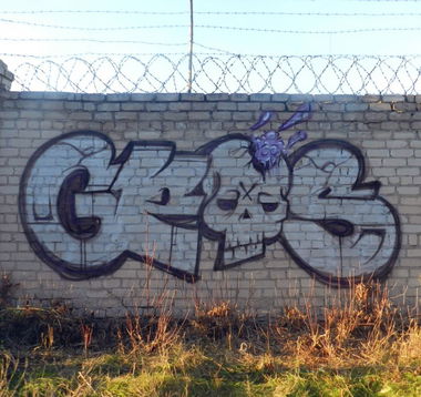 Graffiti Bombing - Photo by Geoz - Geoz, wall, zp (2013)