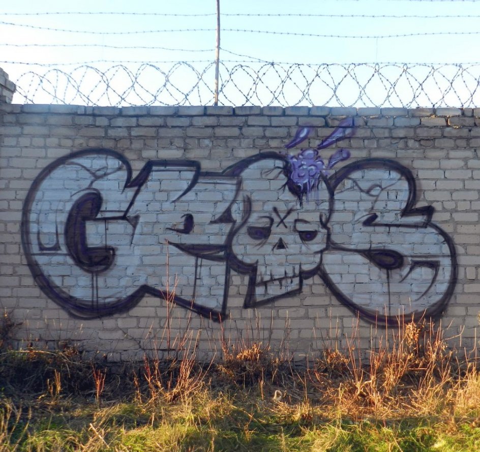 Graffiti Bombing - Photo by Geoz - Geoz, wall, zp (2013)