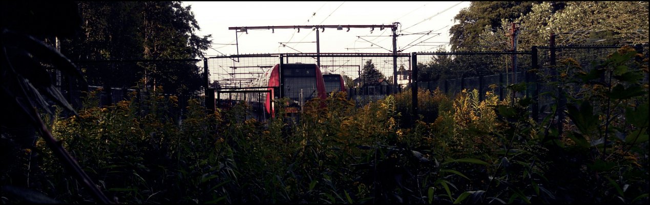 Graffiti Train in Copenhagen - Photo by GerdemGerdem