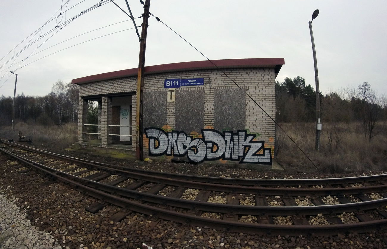 Graffiti Bombing - Photo by GerdemGerdem (2016)
