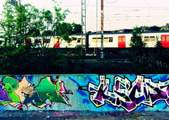 Photo #202479 by DisgoPolo