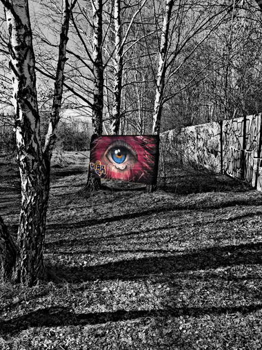 Graffiti Wall in Deutschland - Photo by Gfahr - GDS, Gds, Gfahr (2017)