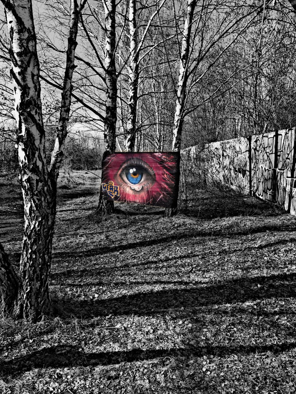 Graffiti Wall in Deutschland - Photo by Gfahr - GDS, Gds, Gfahr (2017)