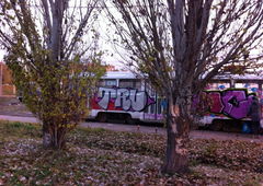 Photo #45034 by Kontrast