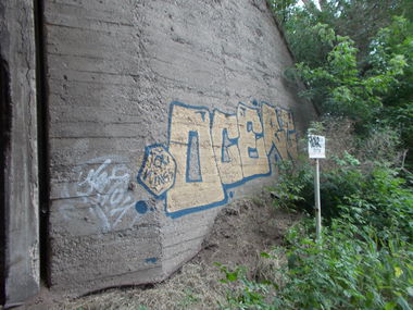 Graffiti Bombing - Photo by GhostRider - trg, 497, okerk