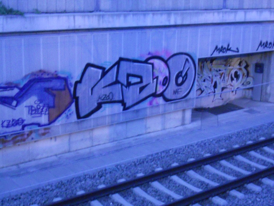 Graffiti Bombing in Vienna - Photo by Ghostwritter