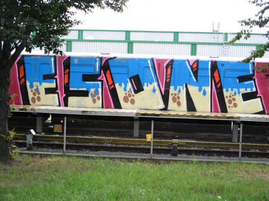 Graffiti Train in Vienna - Photo by Ghostwritter