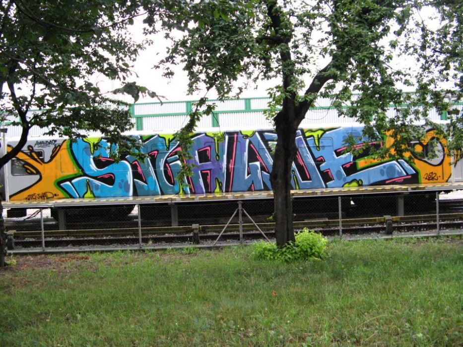 Graffiti Train in Vienna - Photo by Ghostwritter