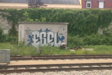 Graffiti Bombing in Vienna - Photo by Ghostwritter