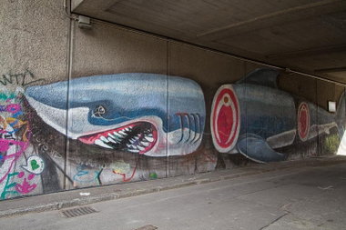 Graffiti Bombing - Photo by Ghostwritter