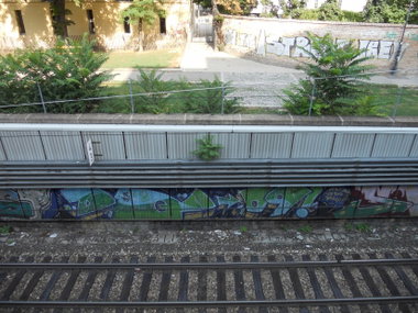 Graffiti Bombing in Vienna - Photo by Ghostwritter - DQ (2009)