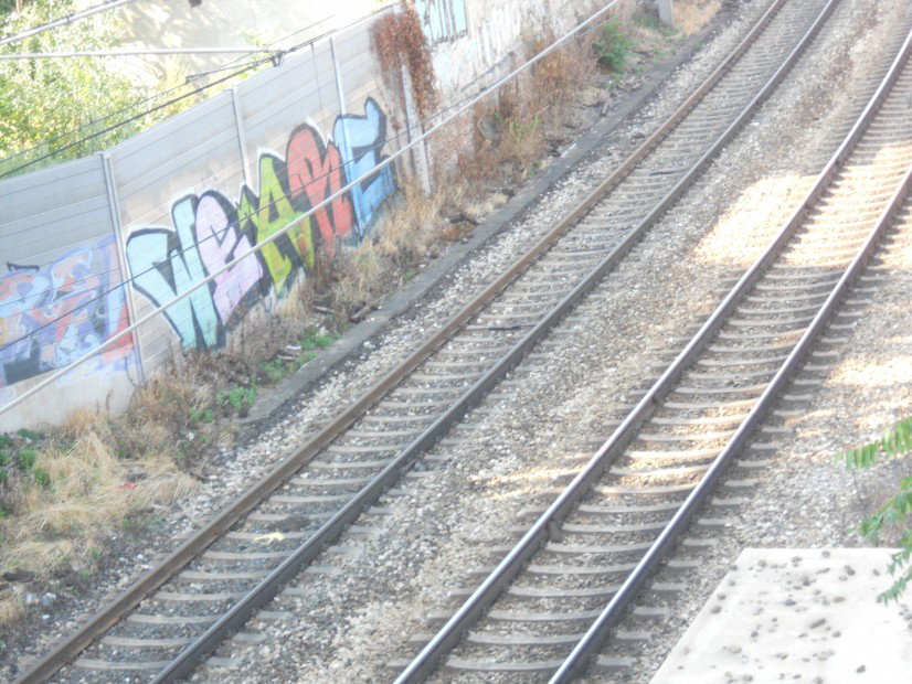 Graffiti Bombing in Vienna - Photo by Ghostwritter - We, are