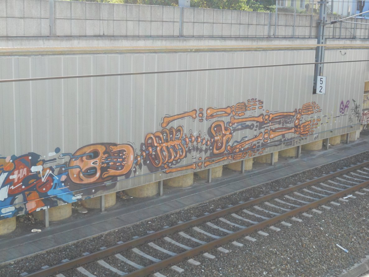 Graffiti Bombing - Photo by Ghostwritter