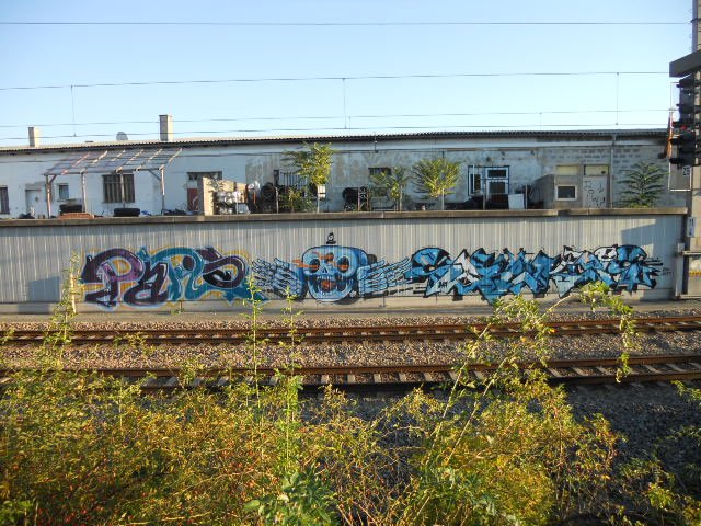 Graffiti Bombing - Photo by Ghostwritter