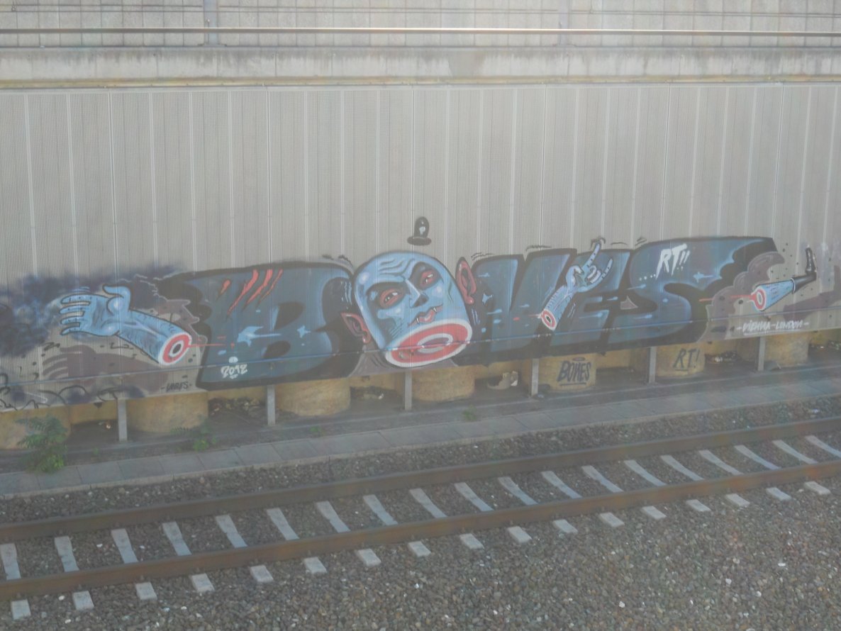 Graffiti Bombing - Photo by Ghostwritter
