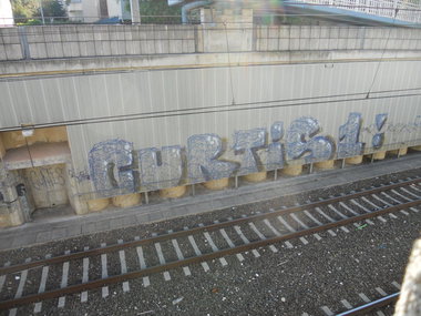 Graffiti Bombing - Photo by Ghostwritter