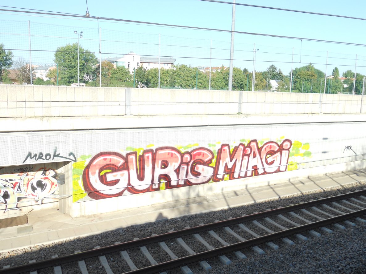 Graffiti Bombing in Vienna - Photo by Ghostwritter