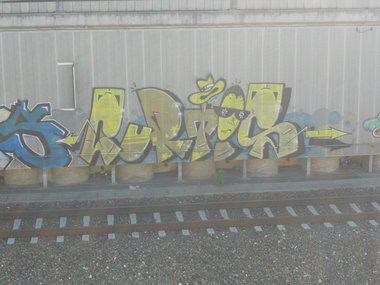 Graffiti Bombing - Photo by Ghostwritter