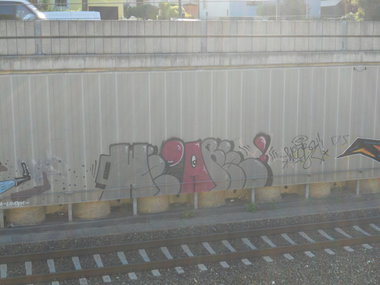 Graffiti Bombing - Photo by Ghostwritter