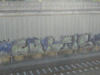 Graffiti Bombing - Photo by Ghostwritter