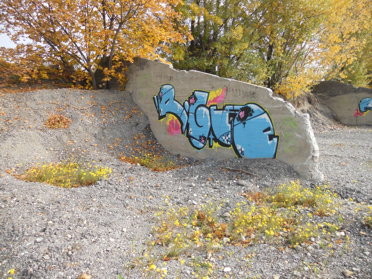 Graffiti Bombing in Vienna - Photo by Ghostwritter