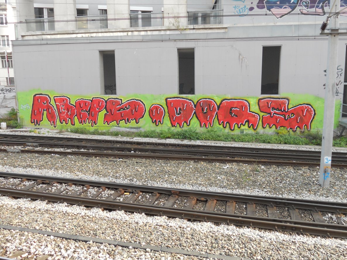 Graffiti Bombing in Vienna - Photo by Ghostwritter