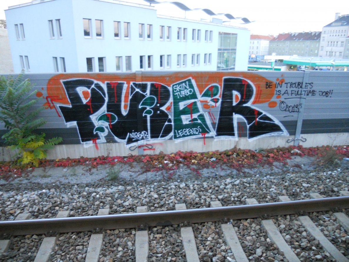 Graffiti Bombing in Vienna - Photo by Ghostwritter