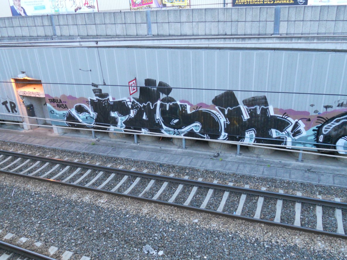 Graffiti Bombing in Vienna - Photo by Ghostwritter